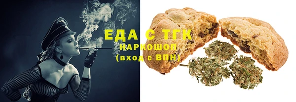 дмт Богородицк