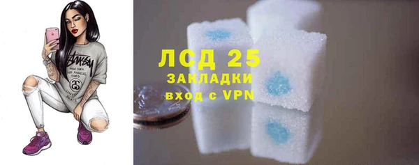 дмт Богородицк