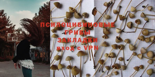 эйфоретик Белокуриха