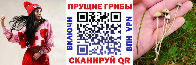 Псилоцибиновые грибы ЛСД  Кировск 